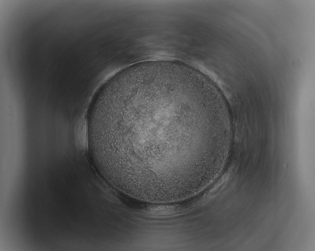 X0000102401171200808011540