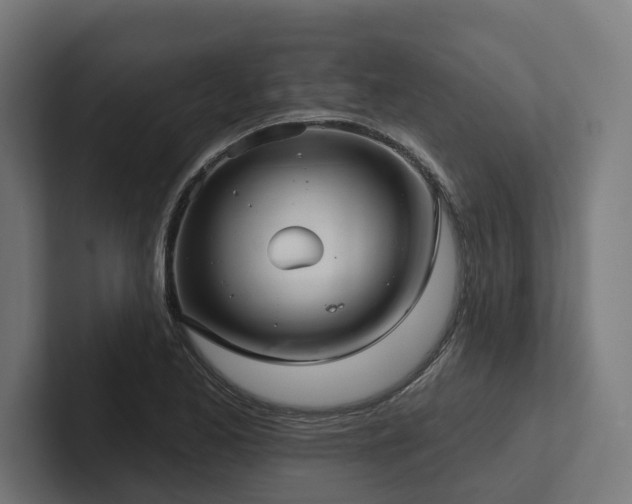 X0000102401173200808011540