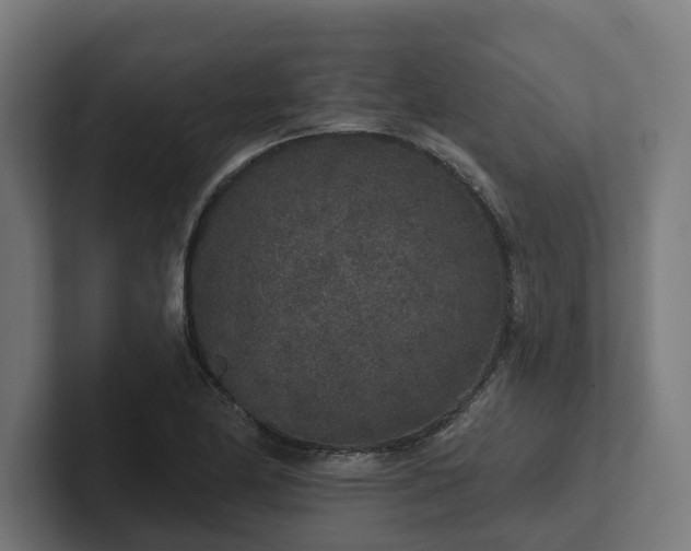 X0000102401174200808011540