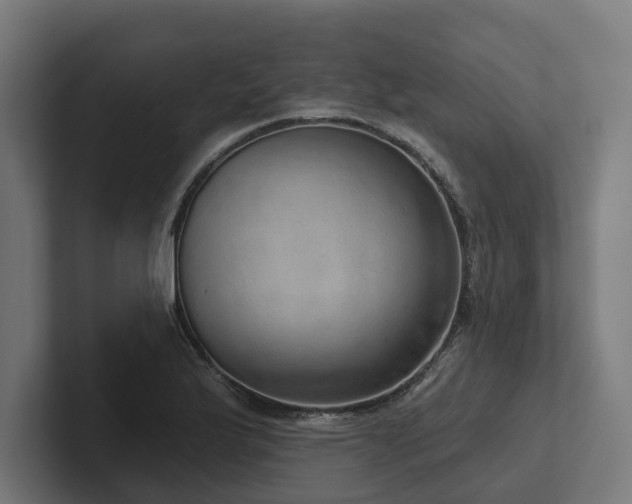 X0000102401175200808011540