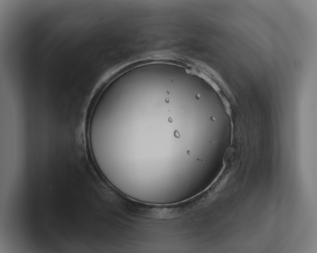X0000102401176200808011540