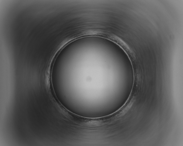 X0000102401178200808011540