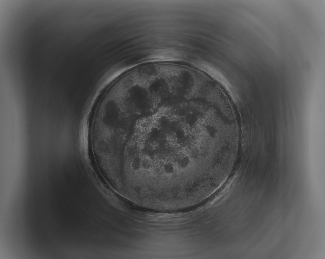 X0000102401179200808011540