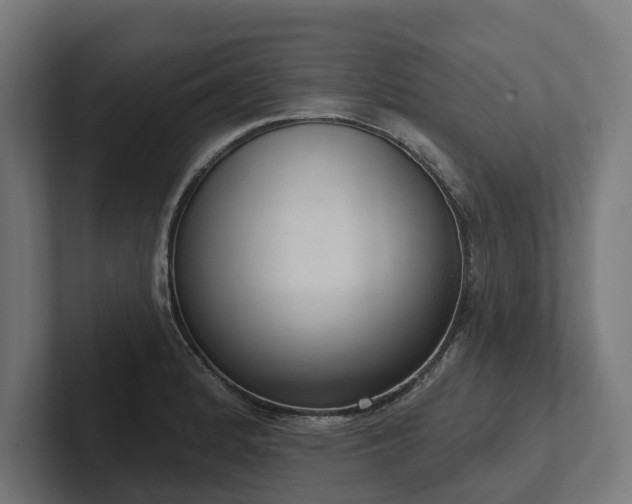 X0000102401184200808011540
