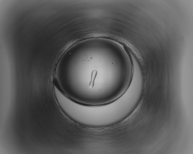X0000102401185200808011540
