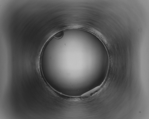 X0000102401186200808011540