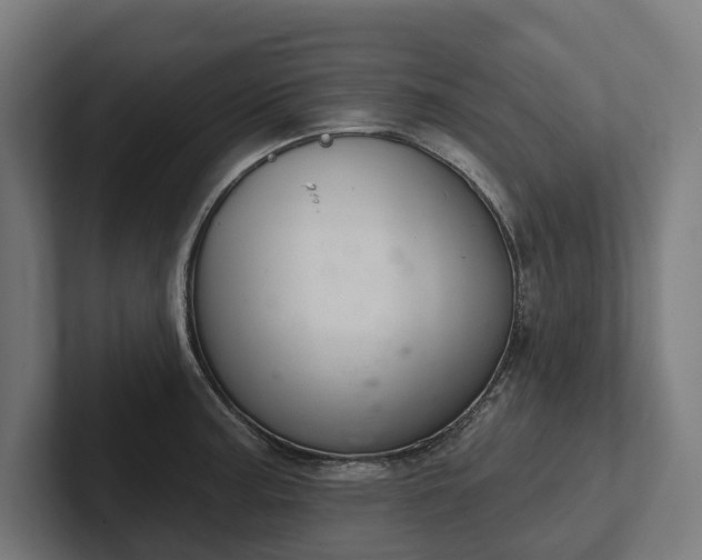 X0000102401187200808011540