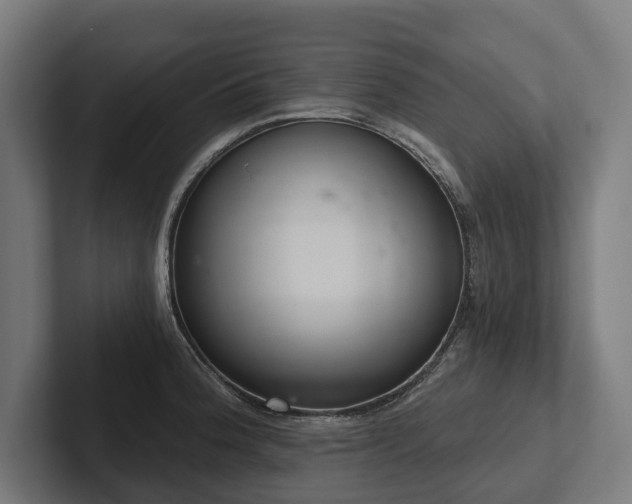 X0000102401188200808011540