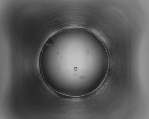 X0000102401189200808011540