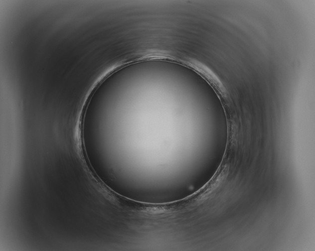 X0000102401190200808011540