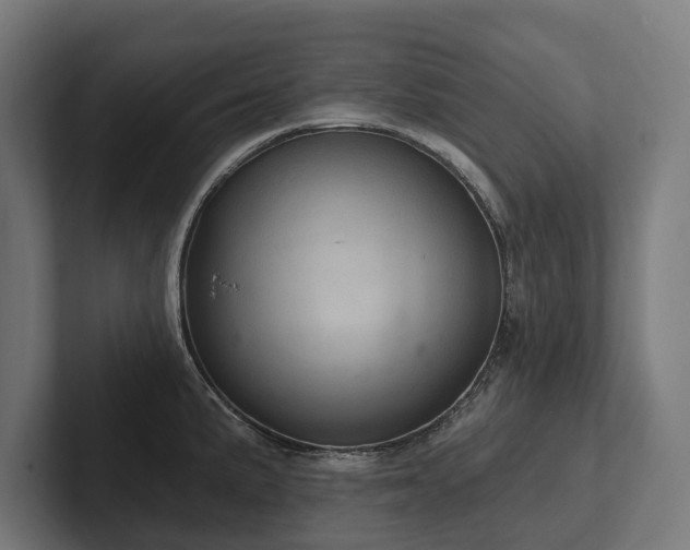 X0000102401191200808011540