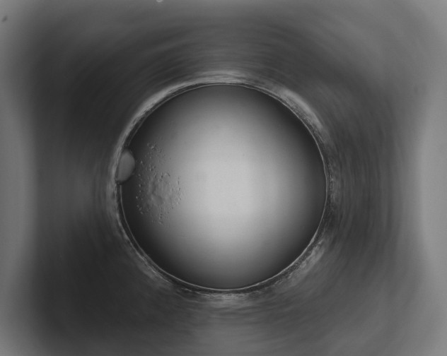 X0000102401192200808011540