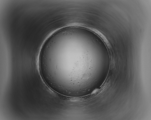 X0000102401199200808011540