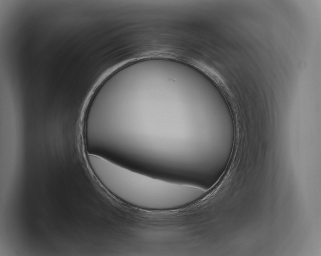 X0000102401200200808011540