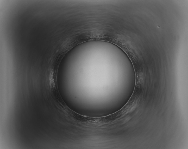 X0000102401202200808011539