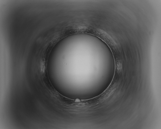 X0000102401204200808011539