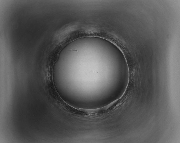 X0000102401205200808011539