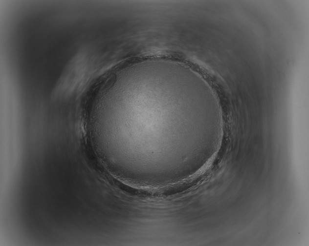 X0000102401206200808011540