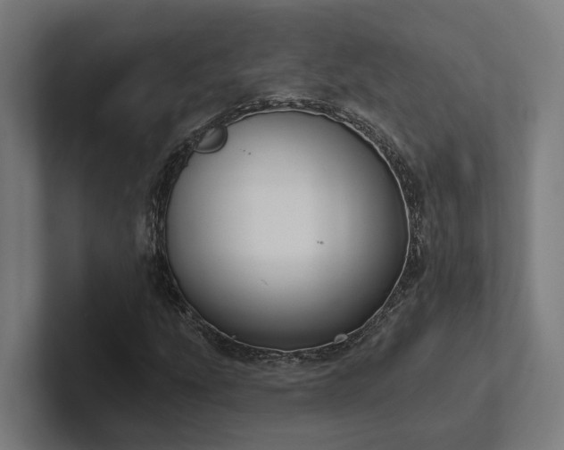 X0000102401207200808011540