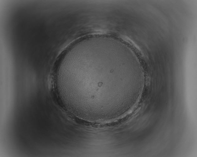 X0000102401208200808011540