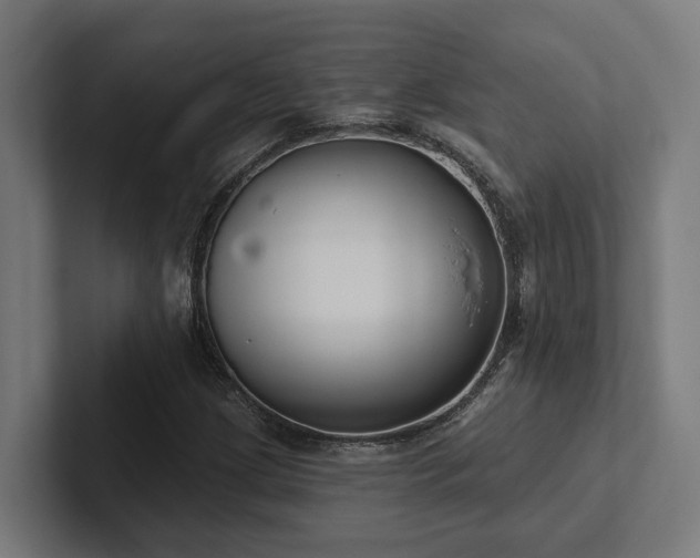 X0000102401209200808011540