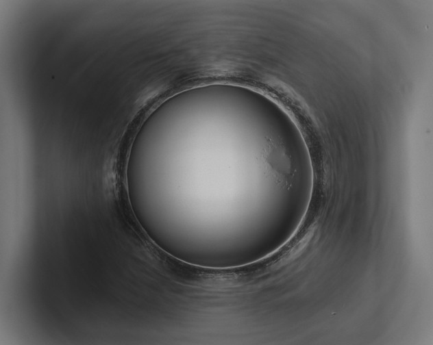 X0000102401210200808011540