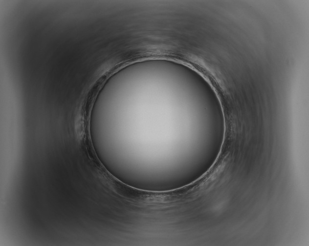 X0000102401211200808011540