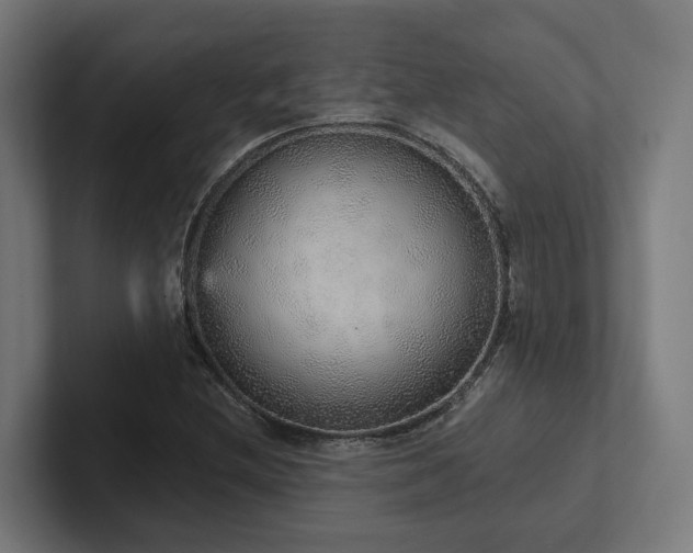 X0000102401212200808011540