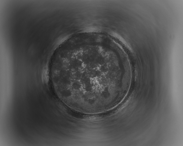 X0000102401213200808011540