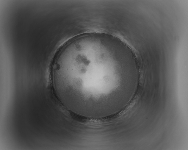 X0000102401215200808011540