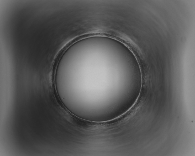 X0000102401216200808011540