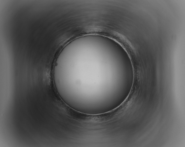 X0000102401217200808011540
