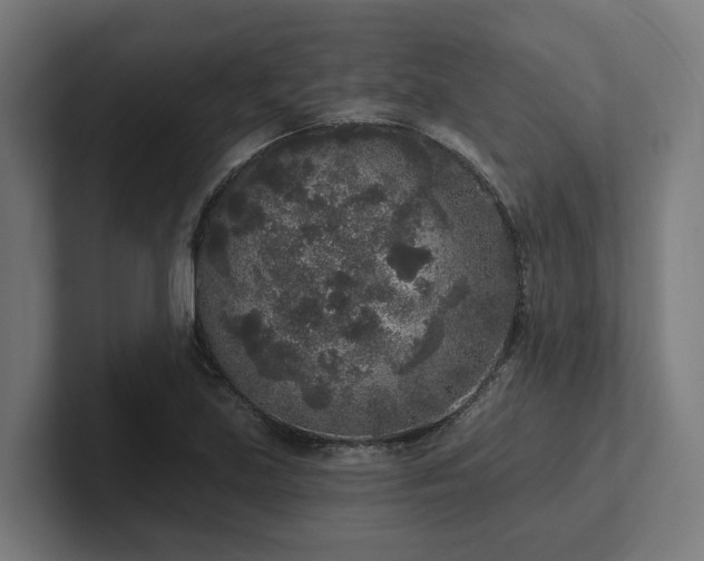 X0000102401219200808011540