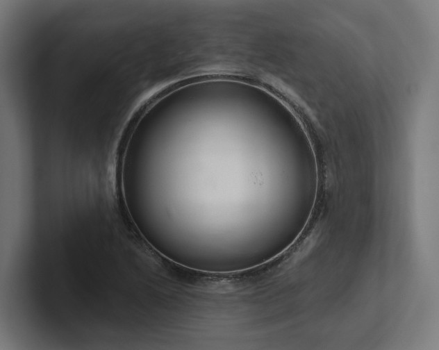 X0000102401222200808011540