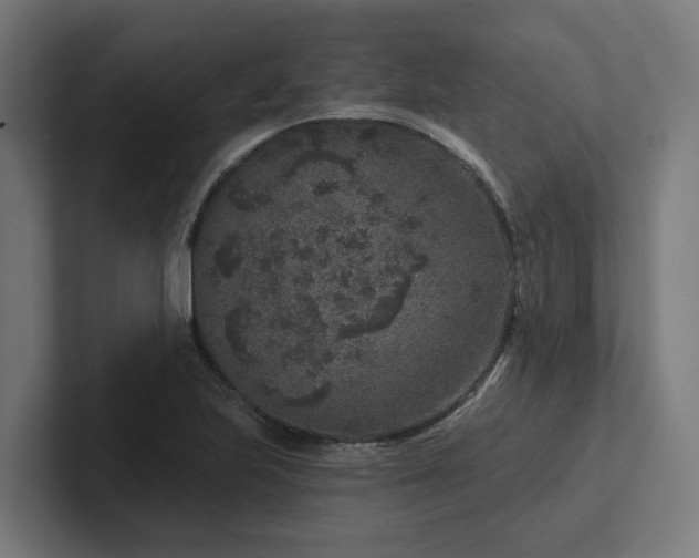 X0000102401223200808011540