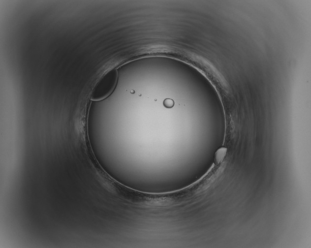 X0000102401225200808011540