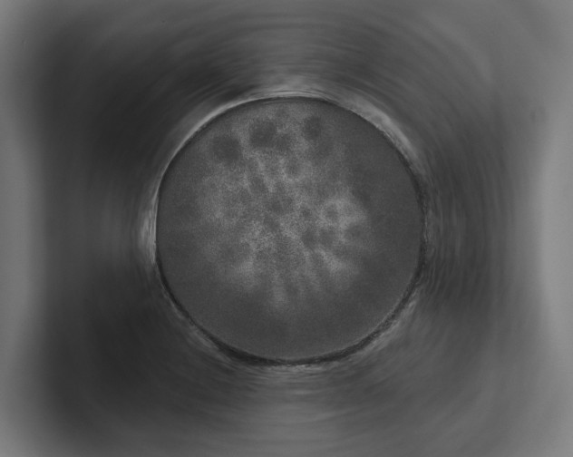 X0000102401228200808011540