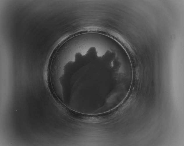 X0000102401229200808011540