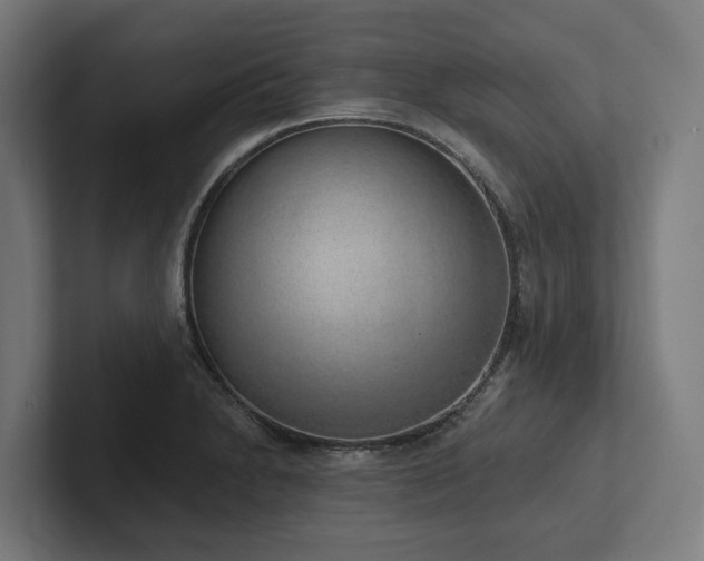 X0000102401230200808011540