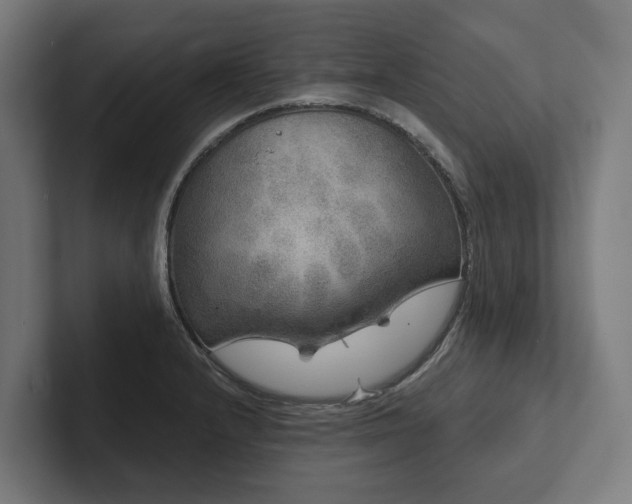 X0000102401232200808011540
