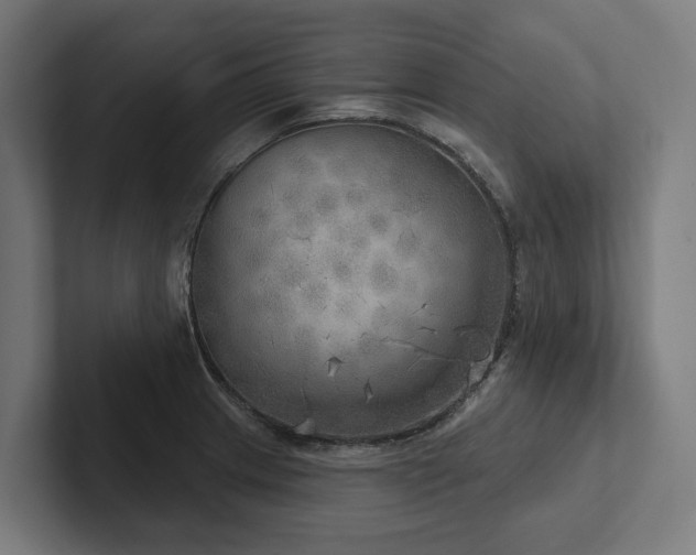 X0000102401233200808011540