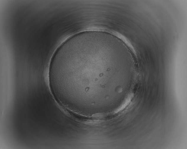 X0000102401237200808011540