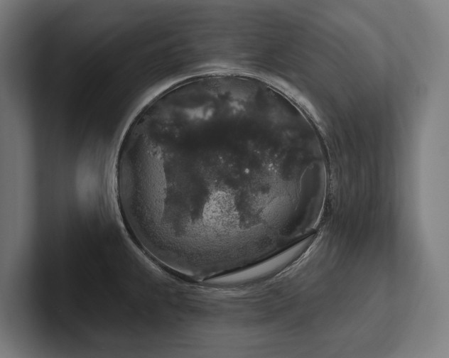 X0000102401239200808011540