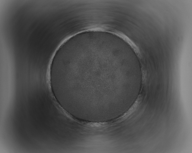 X0000102401240200808011540