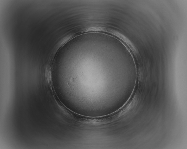 X0000102401241200808011540