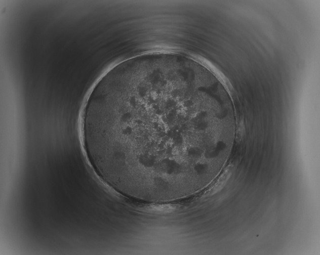 X0000102401243200808011540