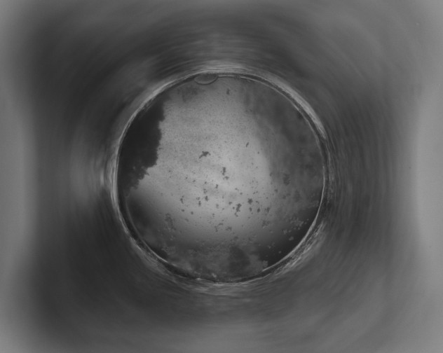X0000102401245200808011540