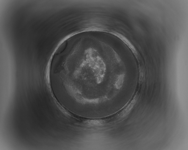 X0000102401246200808011540