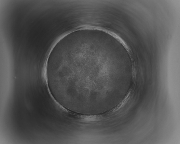X0000102401247200808011540
