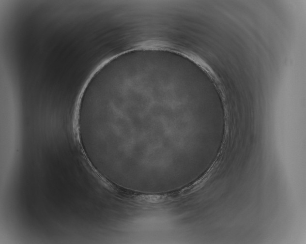 X0000102401248200808011540